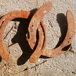 Horse Shoes